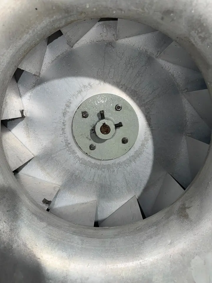 Blower wheel cleaned and ready to reinstall
