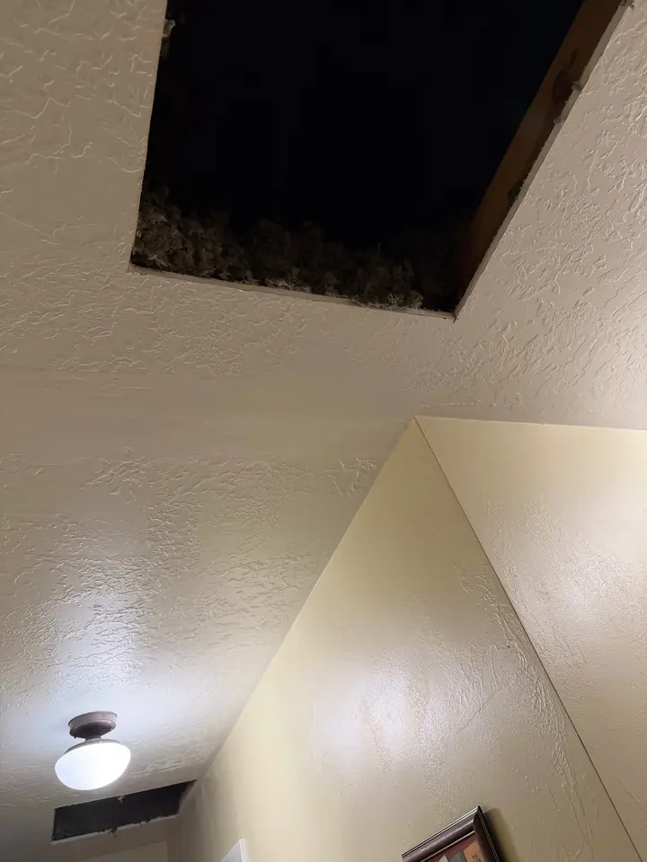 Attic access opened up in a hallway ceiling